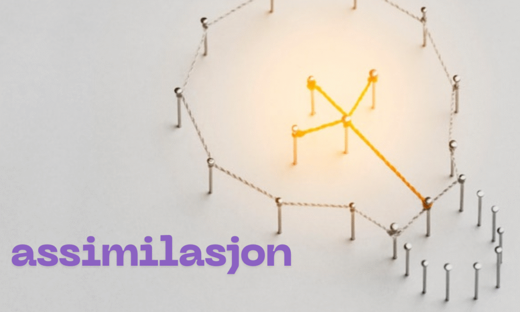 assimilasjon